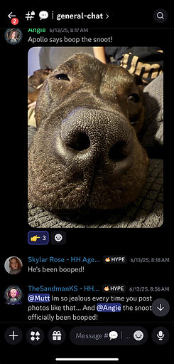 Apollo Screenshot