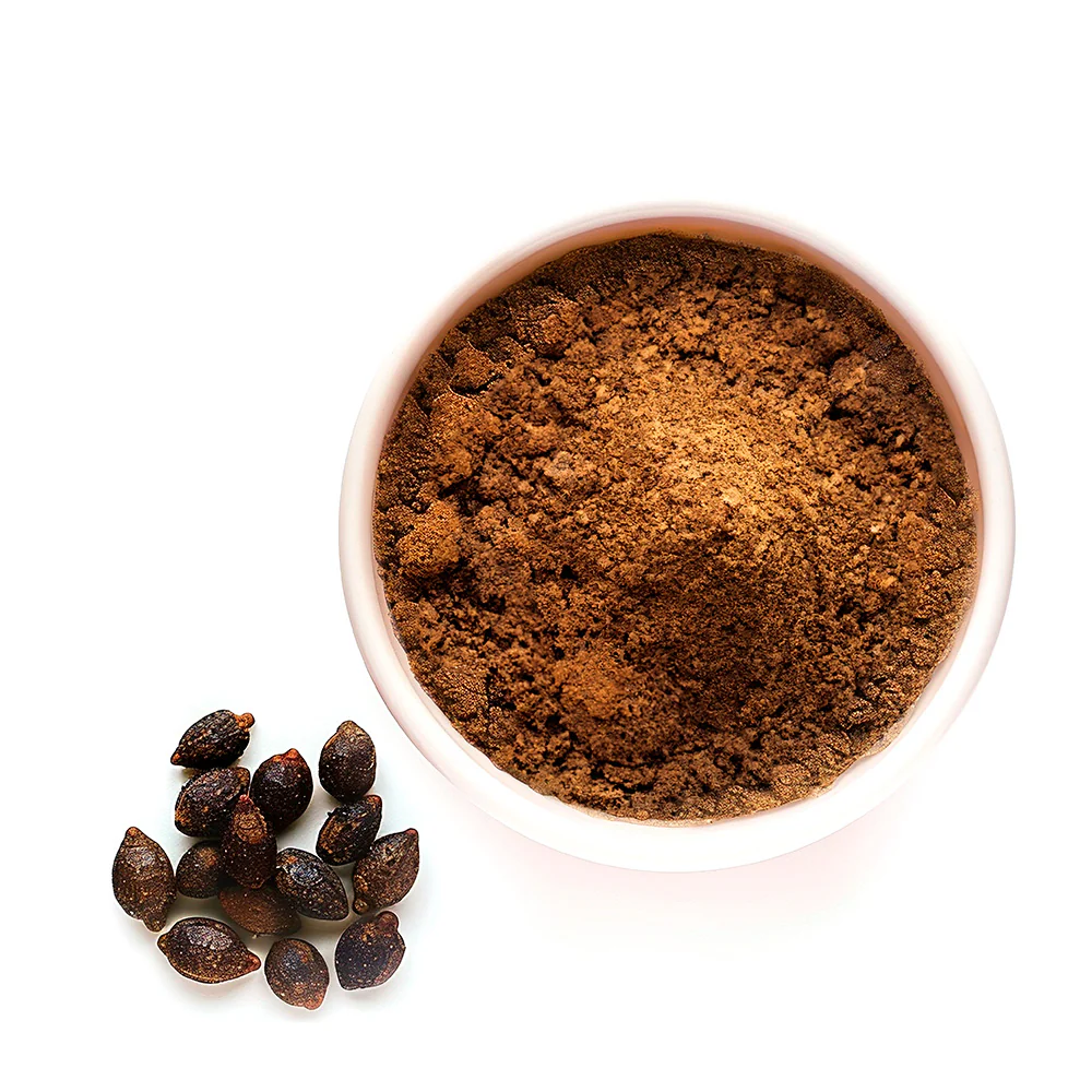 Saw Palmetto 