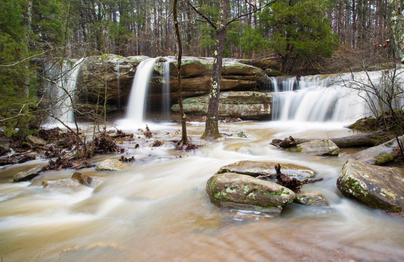 Shawnee National Forest