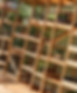 catio with many shelves_edited.jpg