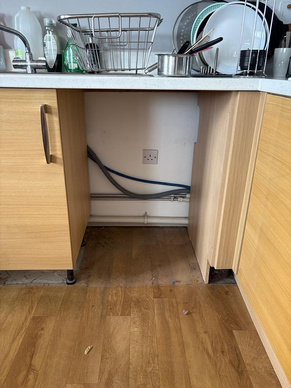 02-integrated-dishwasher-during