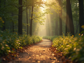 Recognizing and Embracing the Spiritual Awakening Process