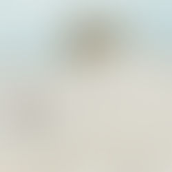 Building a New Foundation: