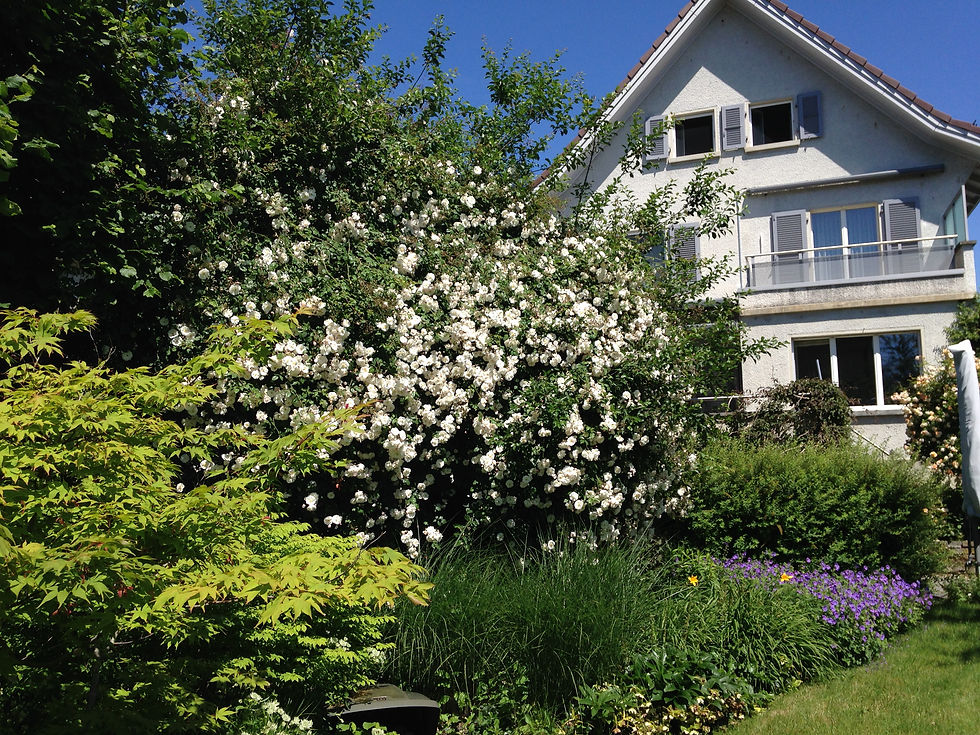 Privatgarten Thun | Bild 2