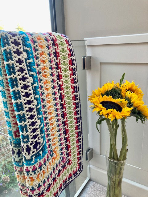 Thumbnail: The Daisy Sampler - Bright Version