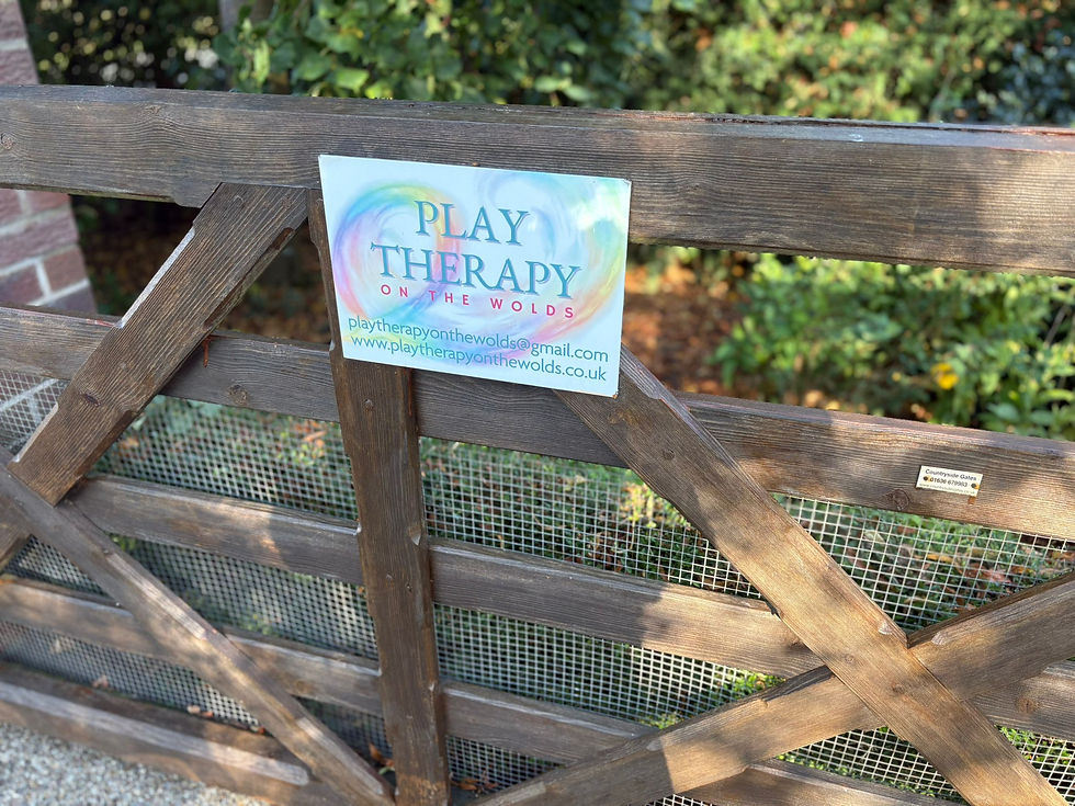 Play Therapy on the Wolds