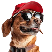 images_edited_edited.png