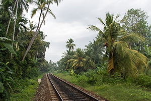 Train Sri Lanka