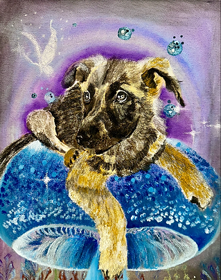 Screen Shot 2024-10-05 at 11.53.30 PM.png