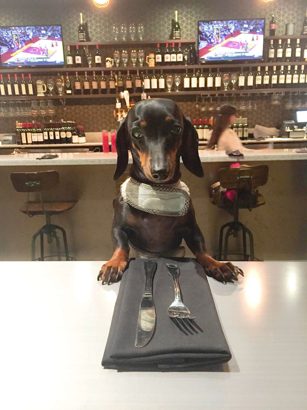 Why I Love Freshly Cooked Pet Food Subscription