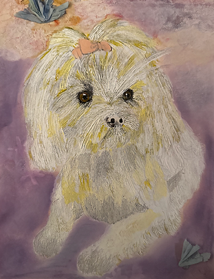 Screen Shot 2024-10-05 at 11.55.12 PM.png