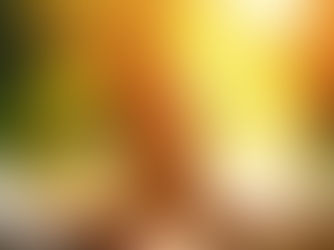 Meditação Guiada ou Silenciosa: Qual é a Melhor para Você?