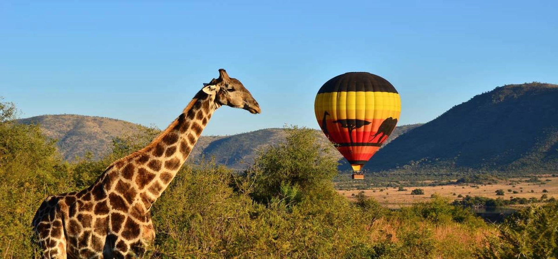 morning-hot-air-balloon-safari-in-pilansberg-national-park-1679662032.5597-1920x1080-resiz