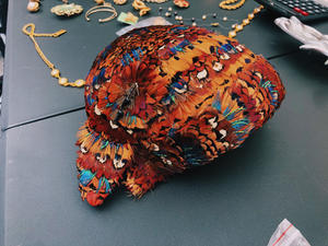 IMG_0701.jpeg