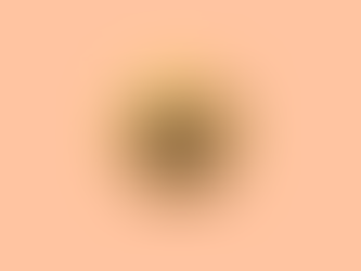 Wildly Clean Closets