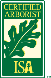 Mexico Mo Tree Service ISA Certified Arborist