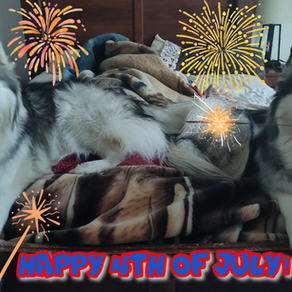 Happy 4th of July