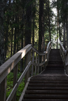 Travel_North (49).JPG