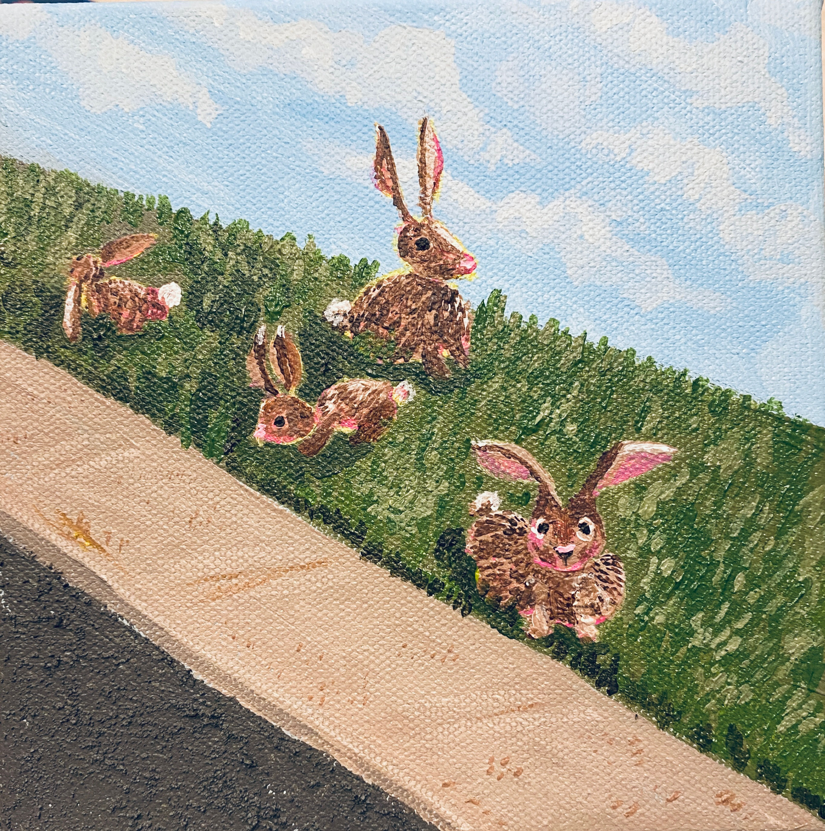 Where the Rabbits Wait