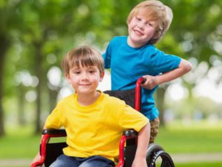 What is the difference between an IEP and a Section 504 Plan?
