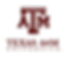 Texas-AM.png