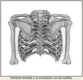 Screenshot 2020-01-09 at 15.26.01.png