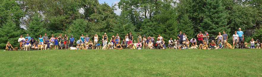 Doodle romp group photocrop.jpg