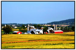 Farm, Pennsylvania