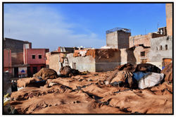 Marrakech, tannerie