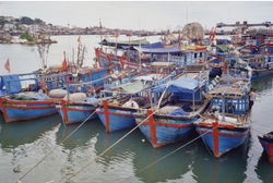Fishing harbor, Nha Trang