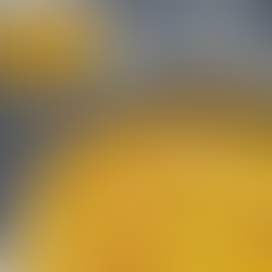 seafood stew and pickled salad