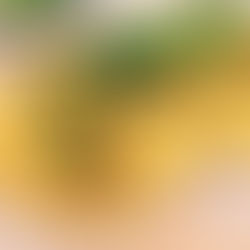 TRINIDAD AND TOBAGO: Curried Chickpeas and Cucumber Chutney on Flatbread (Doubles)