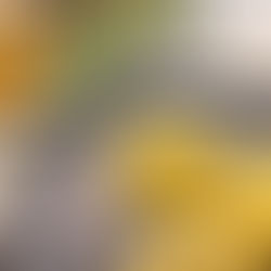 GUYANA: Guyanese Beef Patties and Instant Pot Veggie Cook-Up Rice