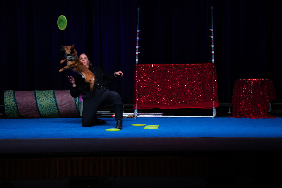 Cirque Du Canines 2025
Kirkland Fine Arts Center