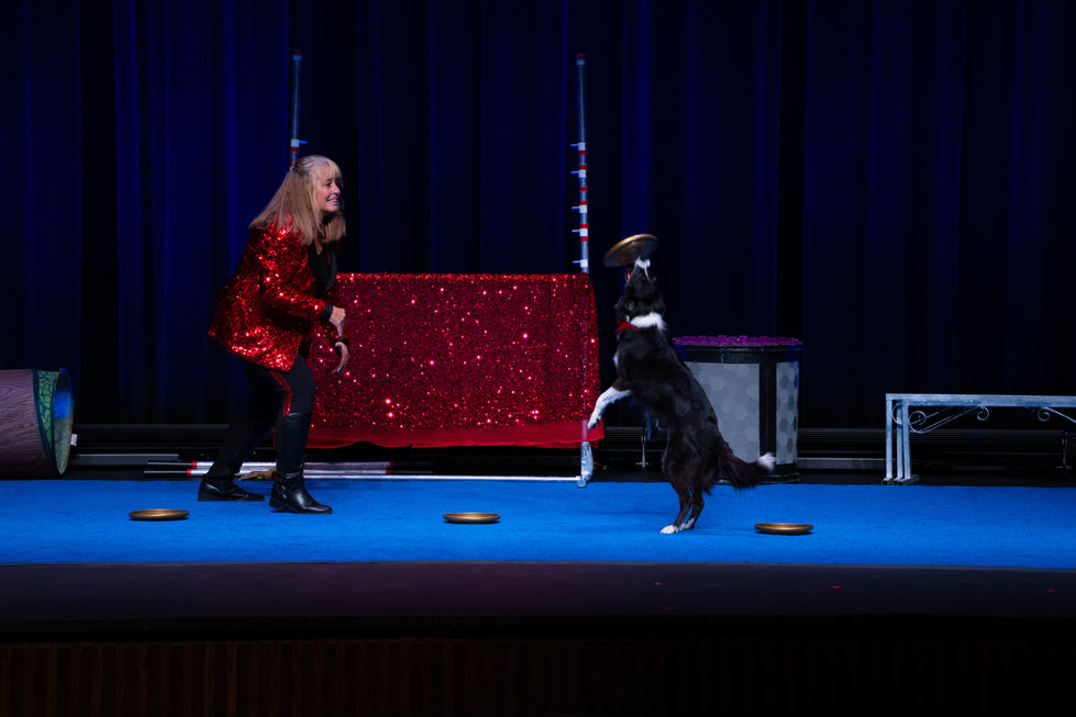 Cirque Du Canines 2025
Kirkland Fine Arts Center