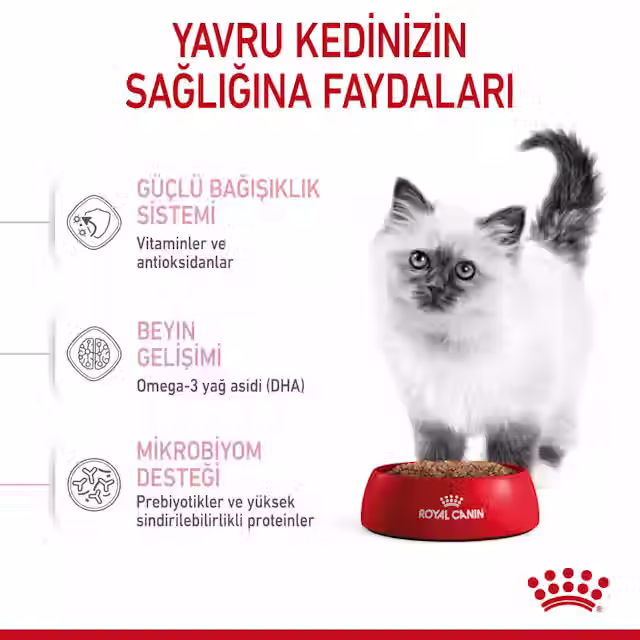 Küçük resim: Kitten Yavru Kedi Kuru Maması 10kg