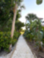 Weston Pointe shell walkway under the palm trees. 