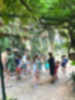 F1A0D47A-7DCA-4B31-ABBA-793A9D34C2AC_edited