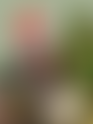 Jetzt Investment verschenken!