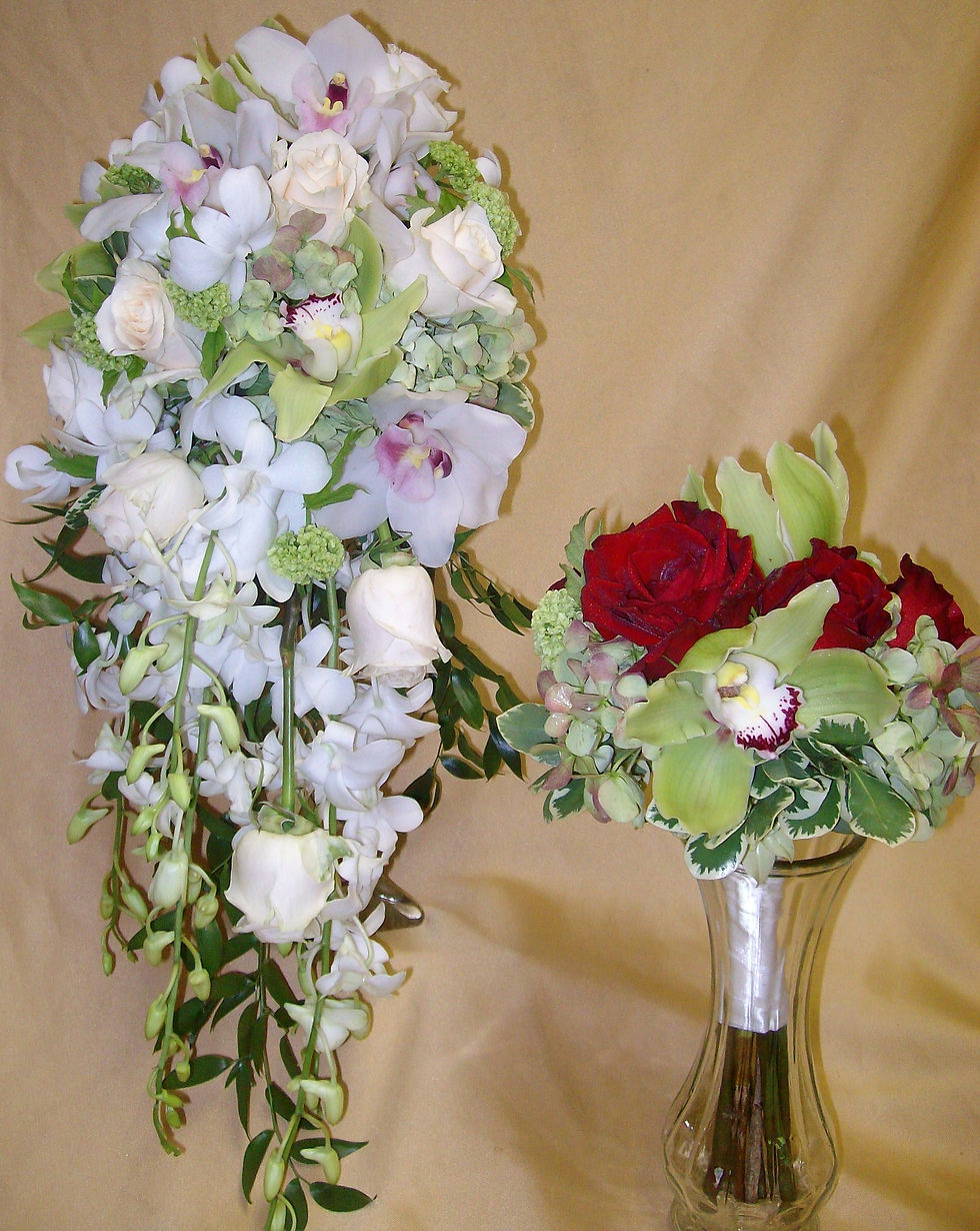 orchid4.JPG