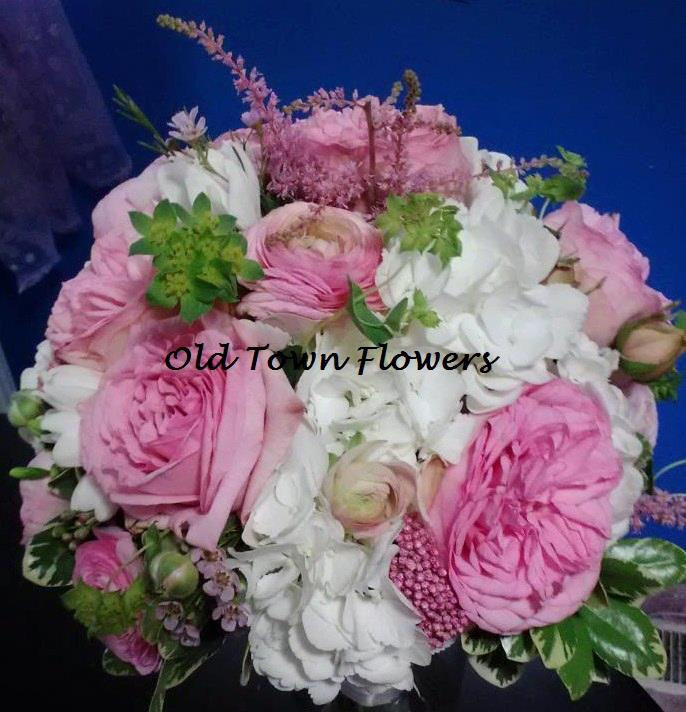 Garden roses