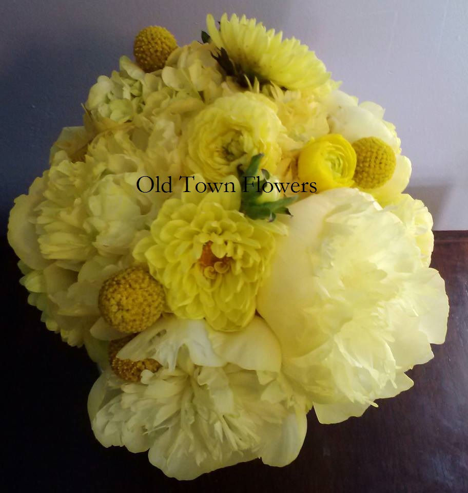 Yellow splash