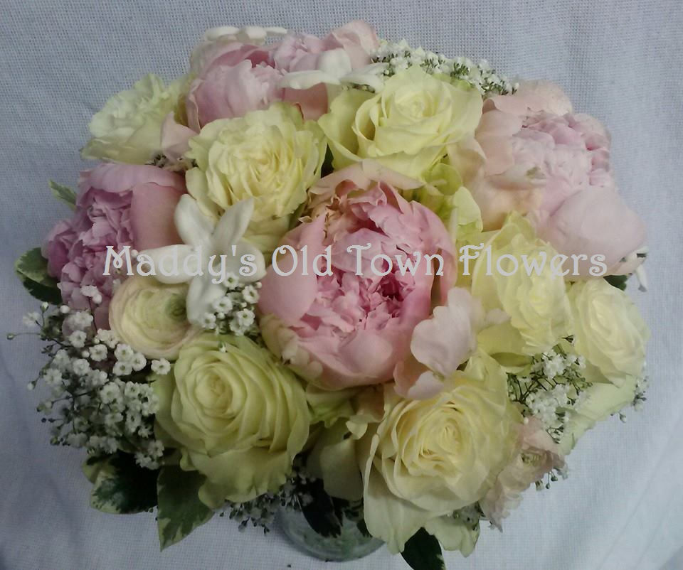 peonysteph.jpg