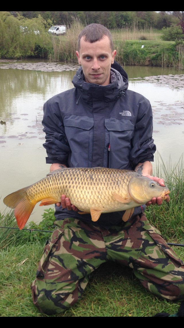 John Common Carp