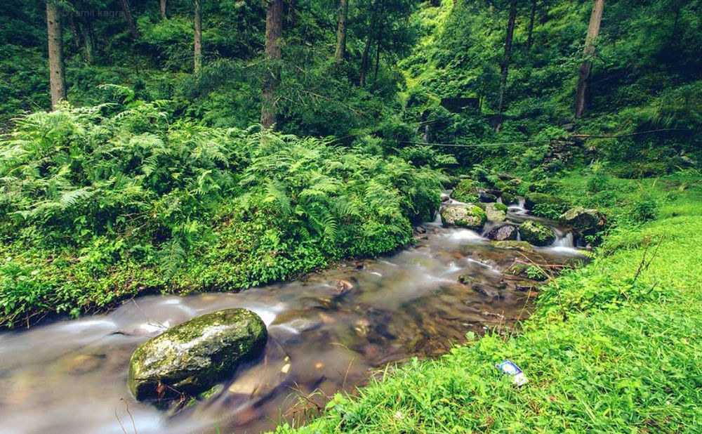 15 april 1948 himachal day in hindi picture
