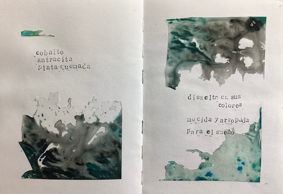 pagnia 22y 23
