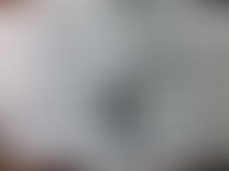 Abel Cuesta, gran campeón