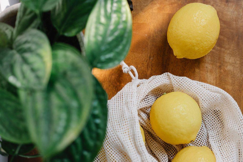 recipes with lemon balm
the earths choice apothecary