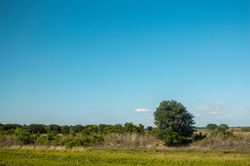 IMG_7837
