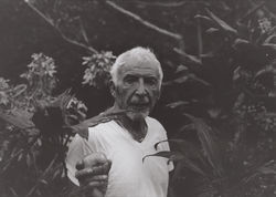 Man in the Garden